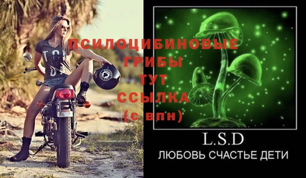 спиды Алексеевка