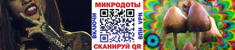 Галлюциногенные грибы мицелий купить закладку это Telegram Бирюч